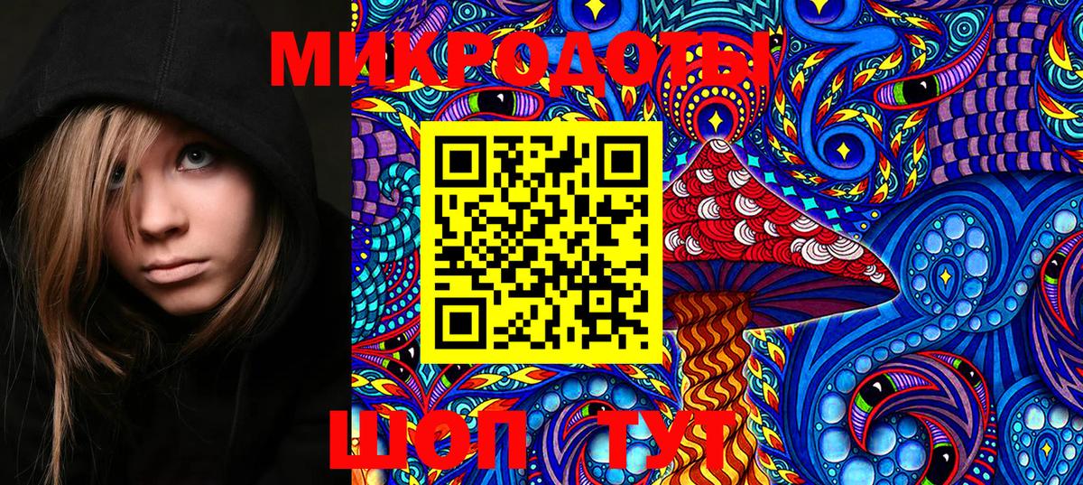 Галлюциногенные грибы Psilocybe  Вход с VPN  Моздок 