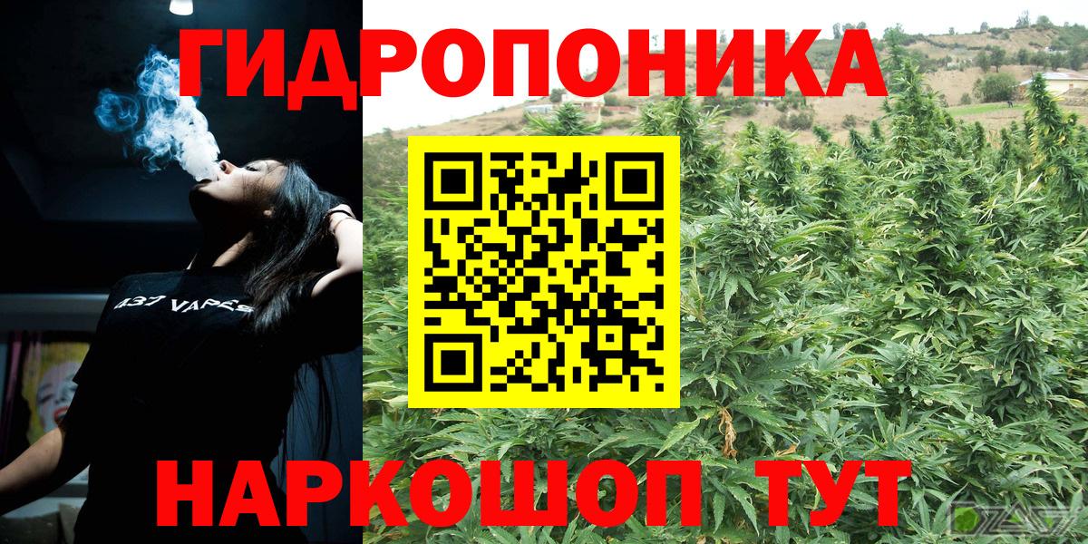 Бошки марихуана THC 21%  Вход с VPN  Каннабис THC 21%  Моздок  Канабис гибрид  Конопля индика 